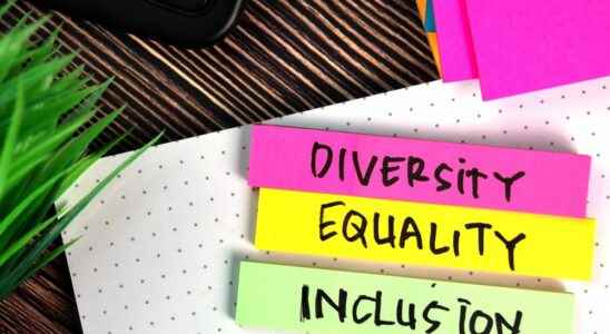 Next steps outlined for diversity equity and inclusion in Chatham Kent