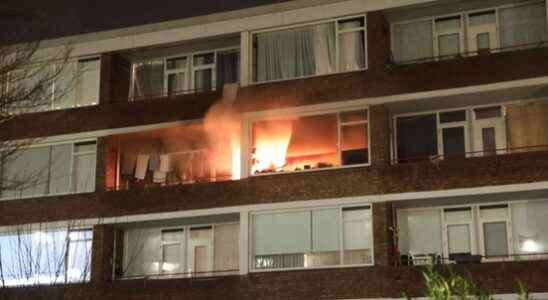 Outrageous fire in Soest flat dog rescued from home