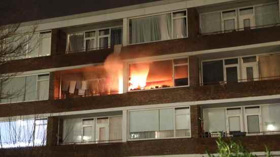 Outrageous fire in Soest flat dog rescued from home