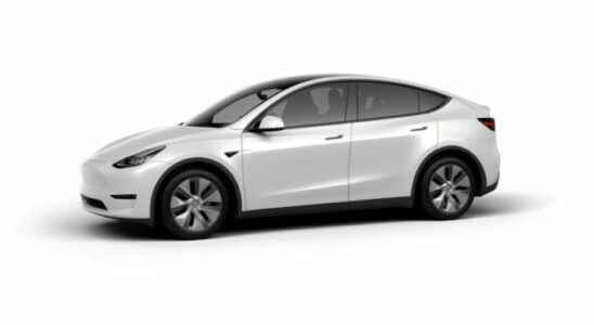 Tesla Model Y became Europes best selling car in November