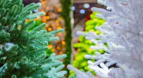 The artificial tree a source of pollutants for your indoor