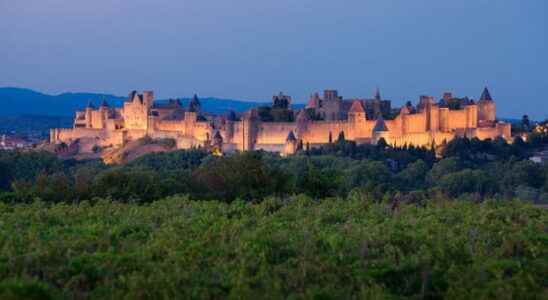 The city of carcassonne by night