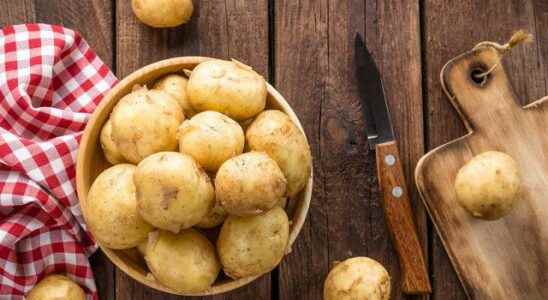 The results are incredible Potatoes turned out innocent Insulin resistance
