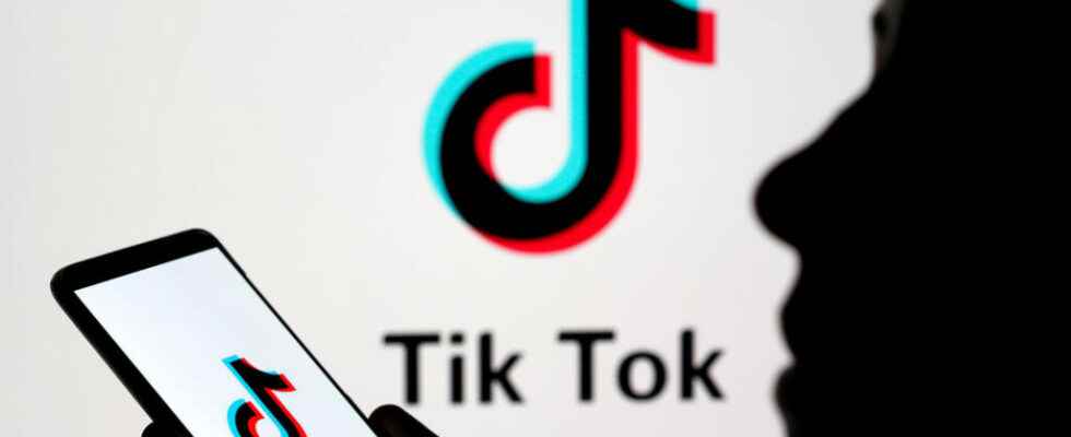 TikTok the bad reputation Media column