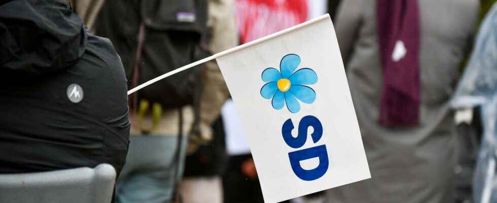 Twelve SD politicians in Klippan can be excluded