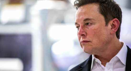 Twitter Files Elon Musks trompe loeil revelations about the shadow ban