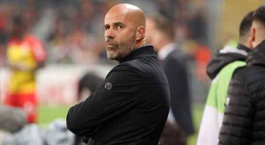 Utrecht fans want Peter Bosz as a new trainer