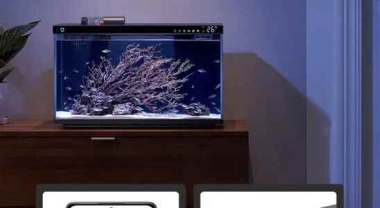 Xiaomi Releases Smart Fish Aquarium for Sale