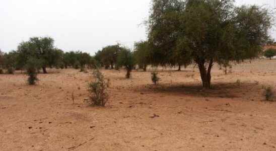 a borehole to relieve water shortages in the face of