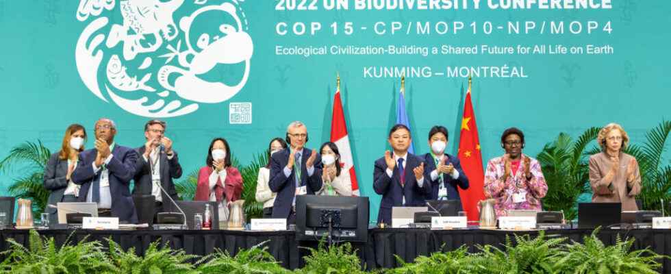 after the agreement the difficult implementation of biodiversity protection