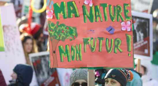 in Montreal protesters demand actions for biodiversity