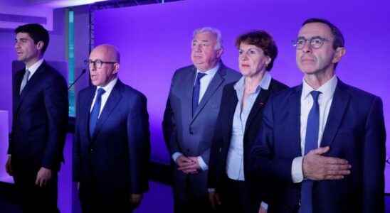 what pension reform for the Les Republicains party