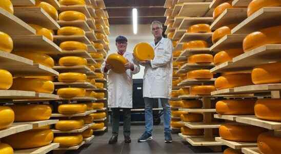 1673536983 Cheese town Woerden feels high prices but remains optimistic Milk