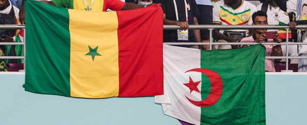 2023 African Nations Championship TV broadcast schedule