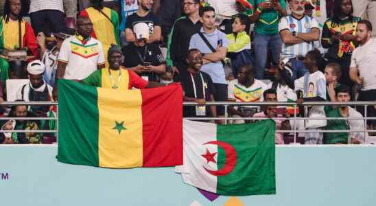 African Nations Championship 2023 calendar TV channel All the information