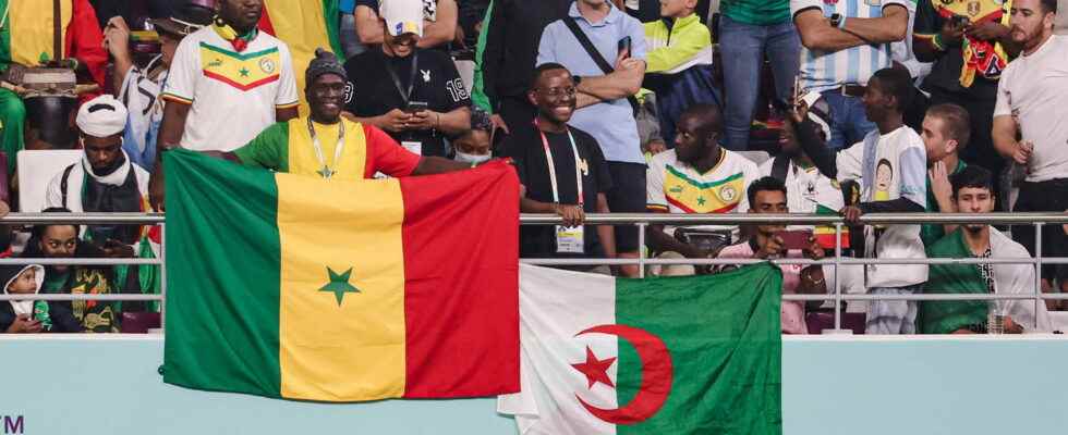 African Nations Championship 2023 calendar TV channel All the information