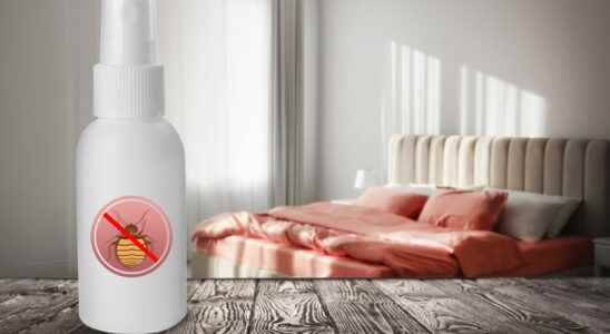 Anti bedbug products danger natural methods