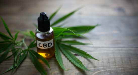 CBD oil what is it benefits how to use it