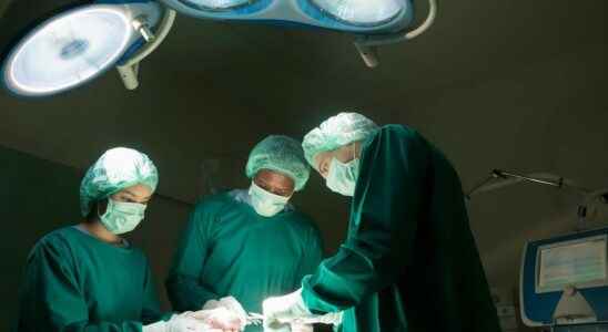 Cancer surgeons extract his kidney before transplanting it with a