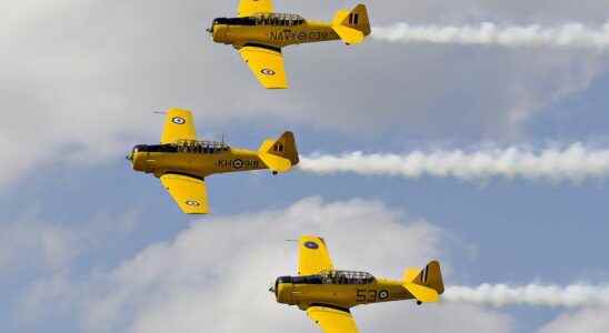 City will investigate possibility of taking over Brantford airshow