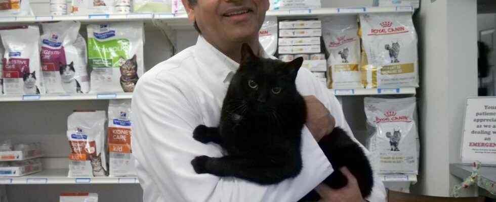 Colborne vet clinic marks 50 years of pet care