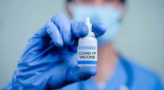 Covid 19 India has approved its first nasal vaccine