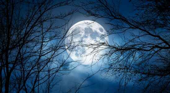 Full moon 2023 the effects on your zodiac sign in
