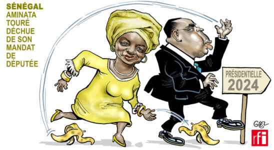 Glezs view of Mimi Toure stripped of her mandate as