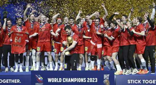 Handball World Cup 2023 Denmark triumphs France in silver the