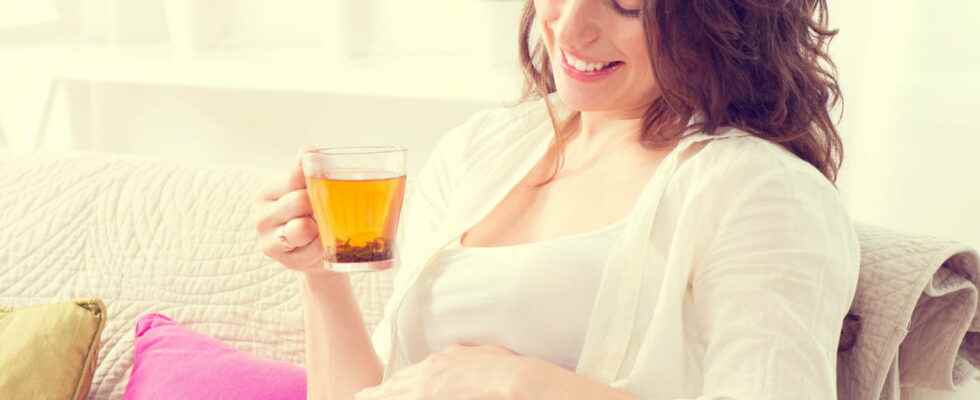Herbal tea and pregnancy which plants to take or avoid