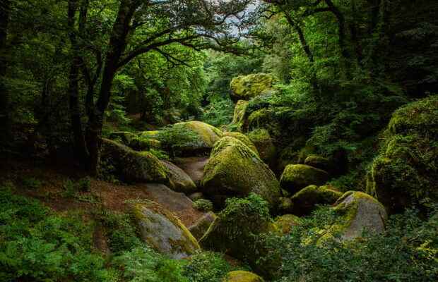 Huelgoat Forest Brittany