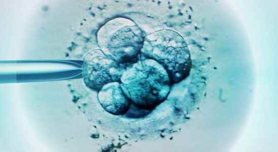 IVF discovery of an algorithm that would increase success rates