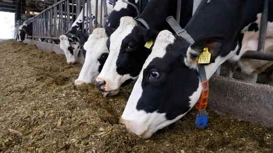 Landowners Kromme Rijn oppose the fermentation plant in Cothen