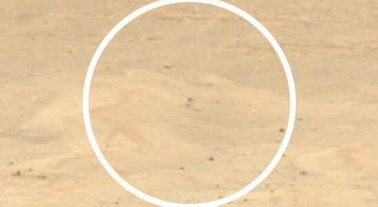 NASAs rover Perseverance photographed the Ingenuity helicopter on Mars We