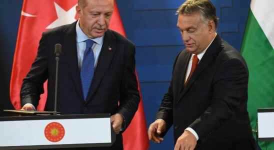 NATO Turkey and Hungary two black sheep which exasperate the