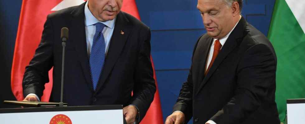 NATO Turkey and Hungary two black sheep which exasperate the
