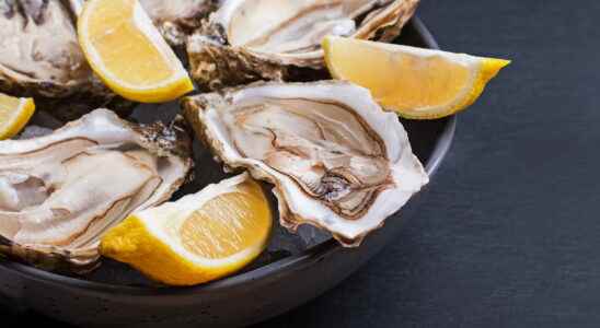 Norovirus in oysters what is it what are the risks