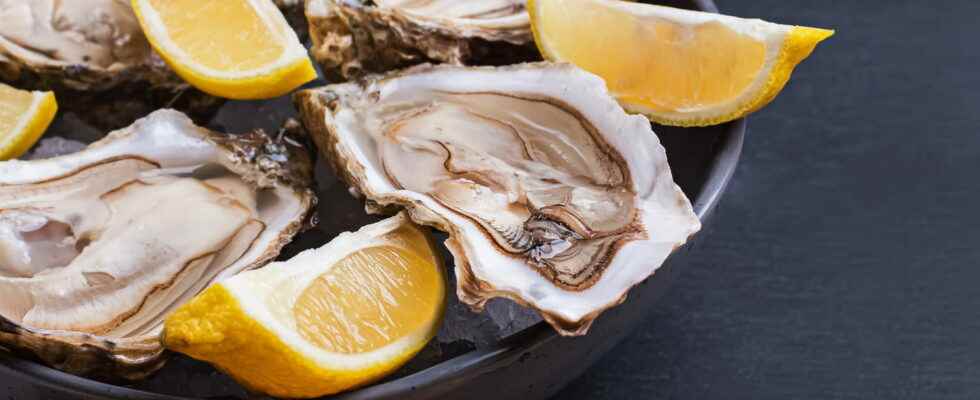Norovirus in oysters what is it what are the risks