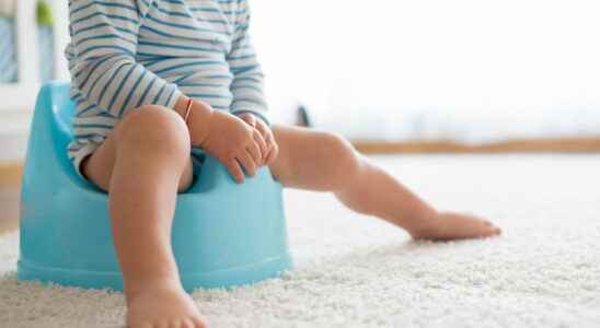 Potty training at what age should you start potty training