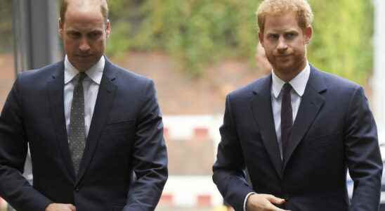 Prince Harry an explosive book the reaction of Prince William