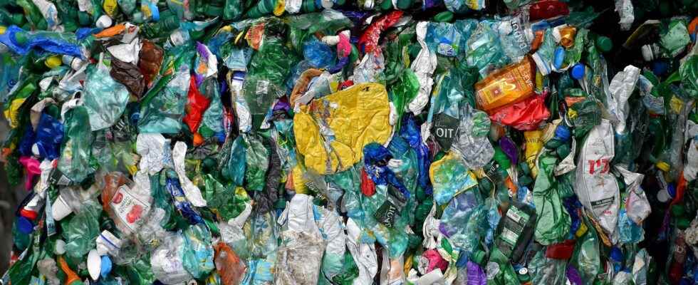 Recycling plastic packaging how Lithuania became a European champion