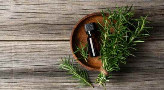 Rosemary essential oil memory hair how to use it