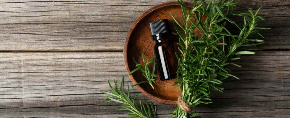 Rosemary essential oil memory hair how to use it