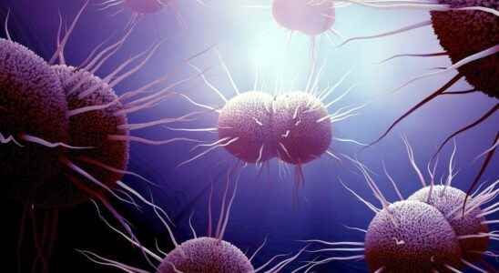 STI two cases of antibiotic resistant gonorrhea in the United States