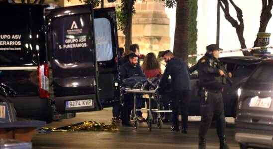 Sacristan killed and priest injured in stabbing attack in Spain
