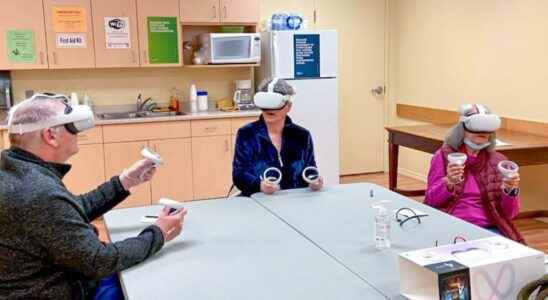 Seniors can explore virtual reality at Brant public libraries