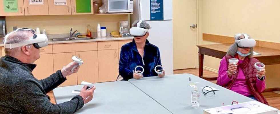 Seniors can explore virtual reality at Brant public libraries