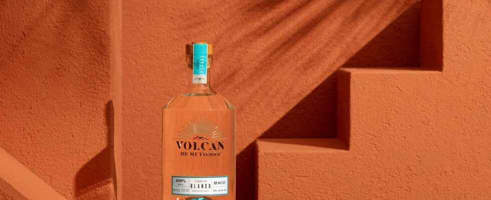 Tequila how to explain the return to grace of Mexican