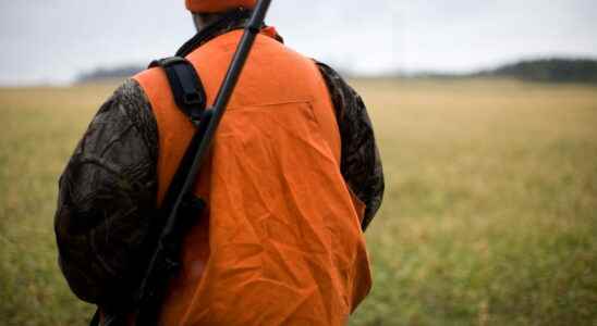 The Government has just proposed several measures to limit hunting