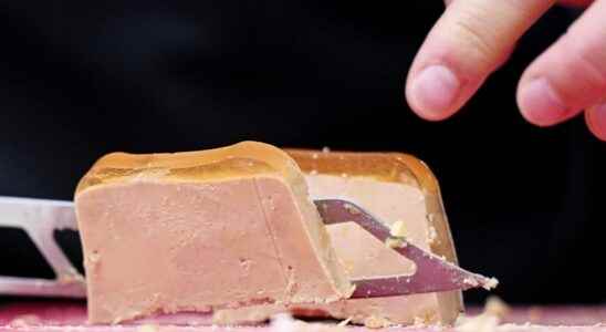 The municipality of Utrecht wants to talk about foie gras
